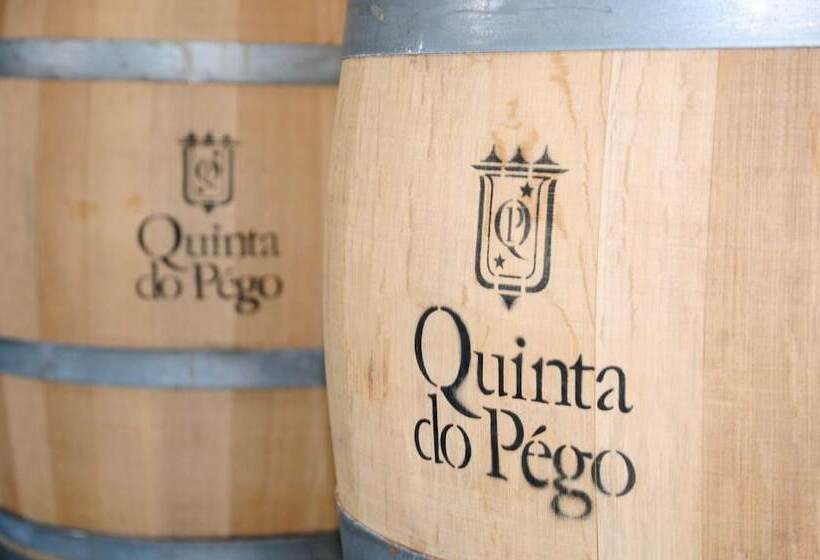乡村酒店  Rural Quinta Do Pego