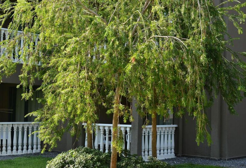 ホテル Sailor S Beach Club All Inclusive