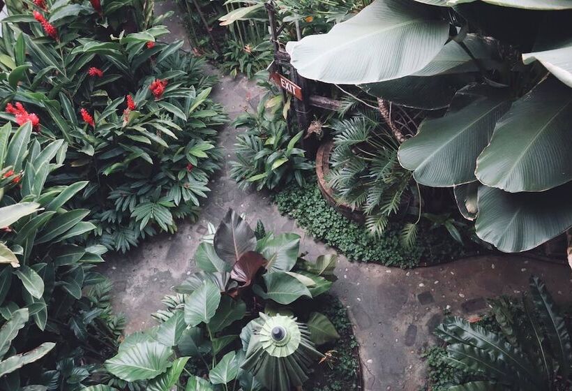 Отель Shewe Wana Boutique