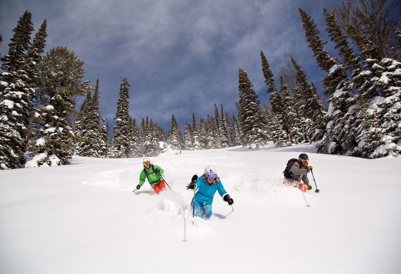 فندق Terra Jackson Hole, A Noble House Resort
