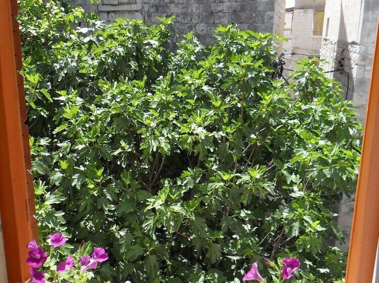 בית מלון כפרי Villa Ruzica