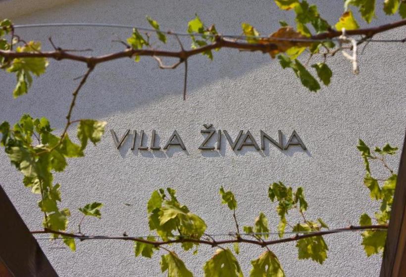 ホテル Villa Zivana