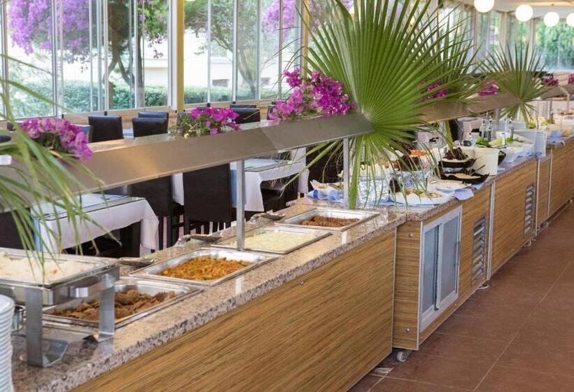 The One Club Hotel   All Inclusive