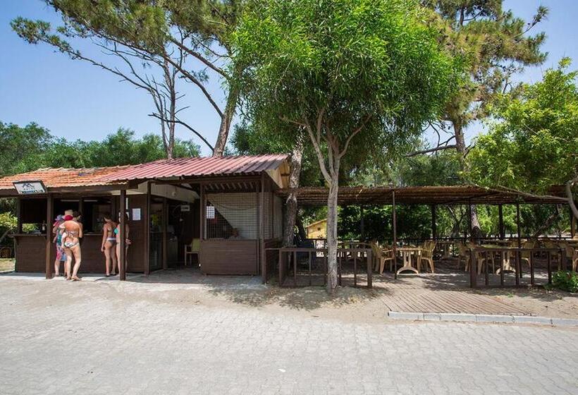 The One Club Hotel   All Inclusive