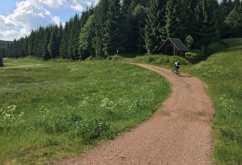 Ferienhaus Bikehütte Rehnhäusl
