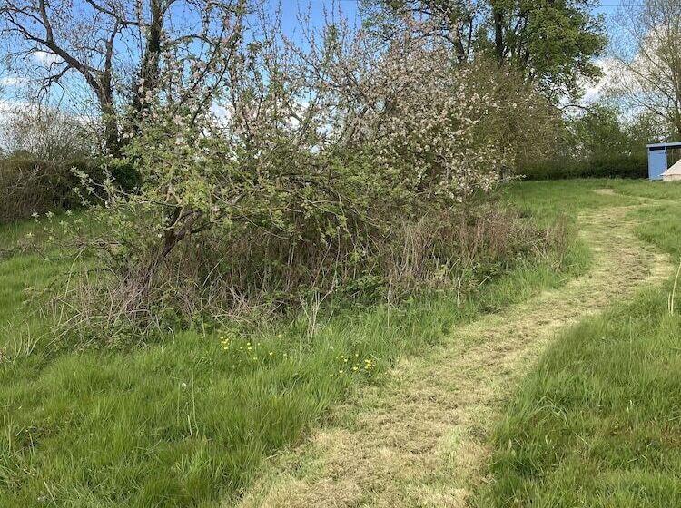 Glamping At The Homestead   Ensuite Bell Tent