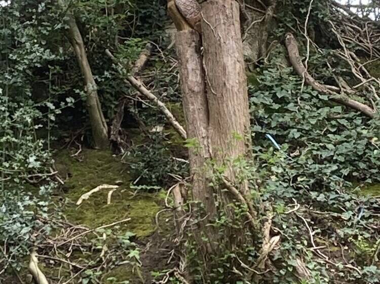 Glamping At The Homestead   Ensuite Bell Tent