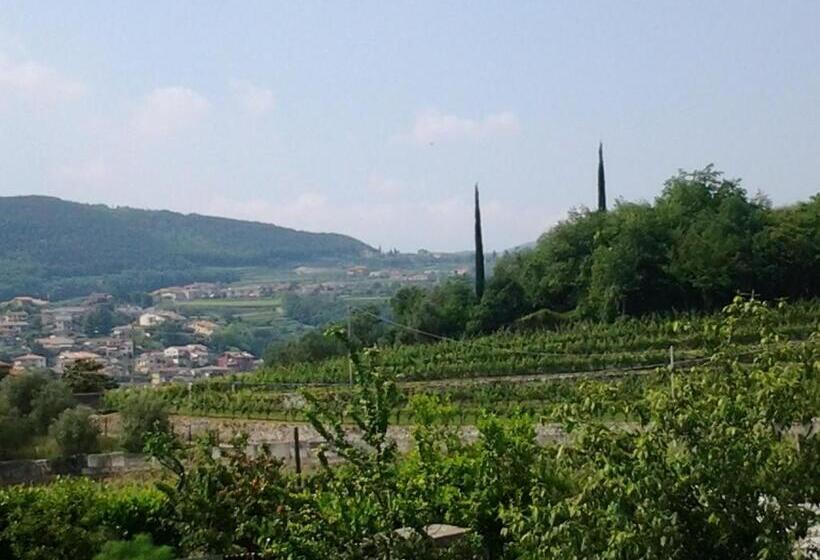 ホテル Agriturismo Corte Galvani