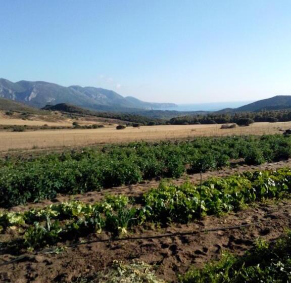 Отель Agriturismo Il Ginepro