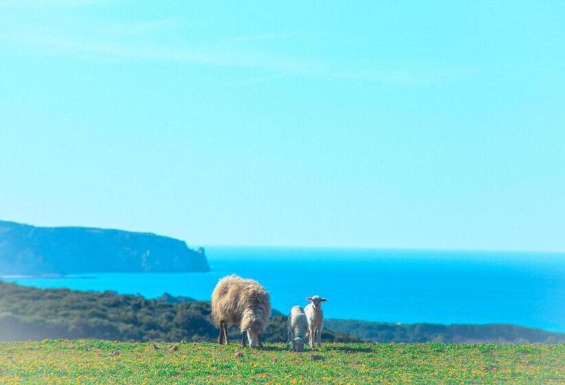 Отель Agriturismo Il Ginepro