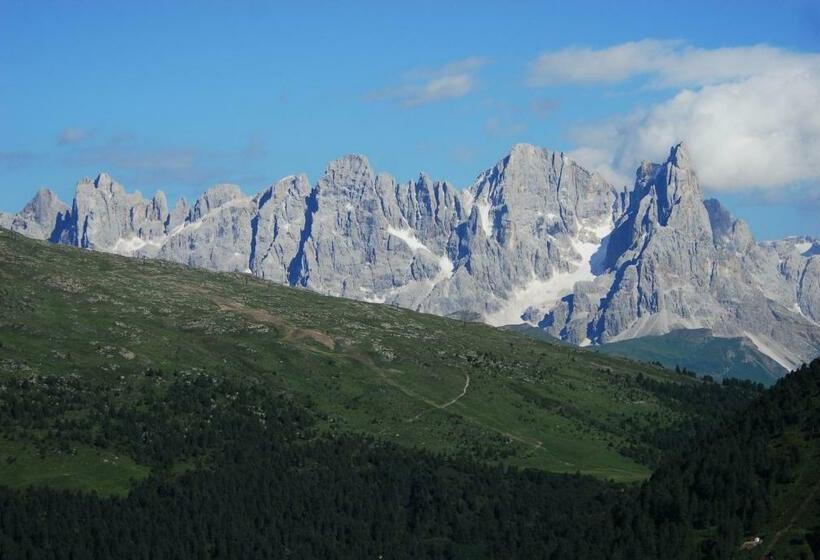 בית מלון כפרי Ciasa Mancin Suite Apartments