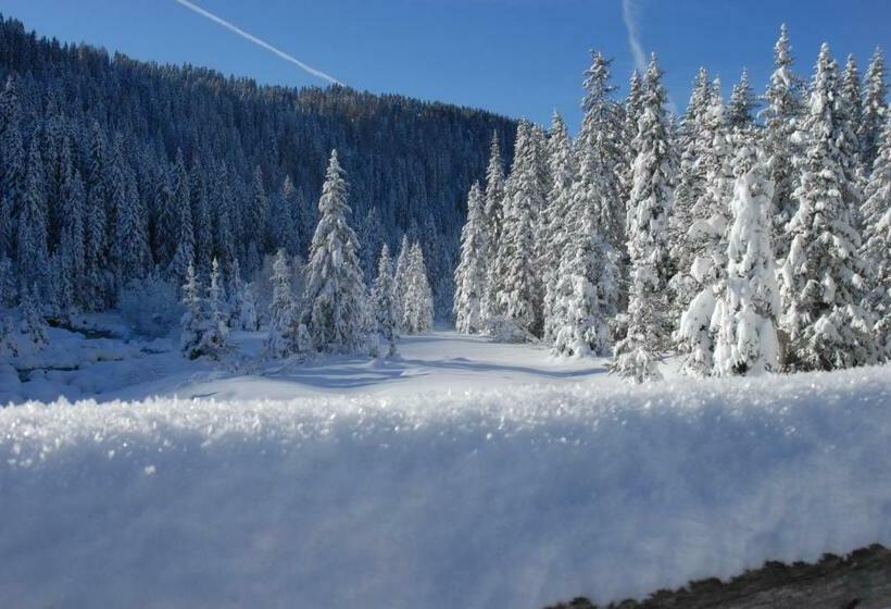 בית מלון כפרי Ciasa Mancin Suite Apartments