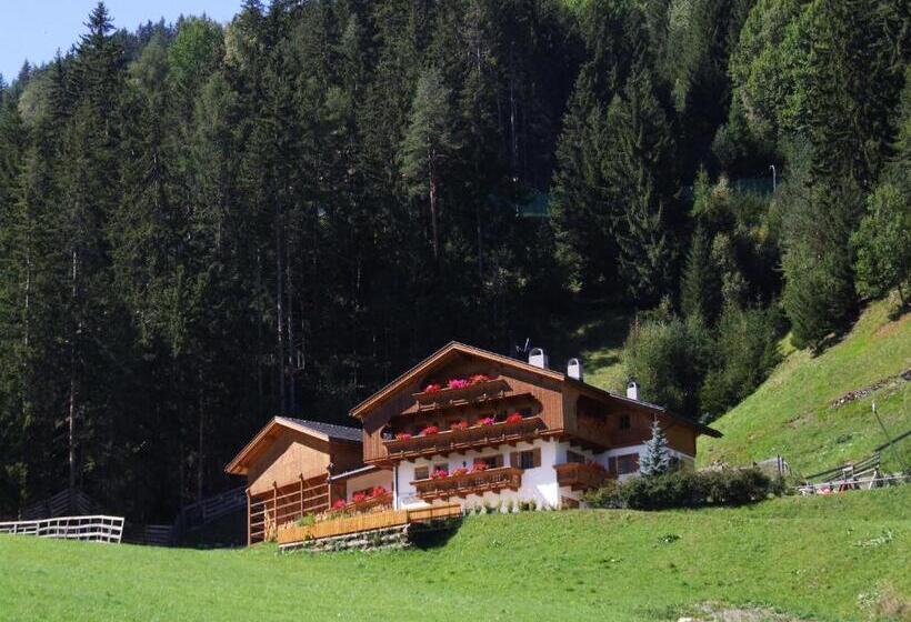 בית מלון כפרי Ciasa Pedaga