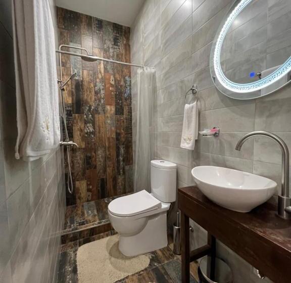 호텔 Fleur Yerevan