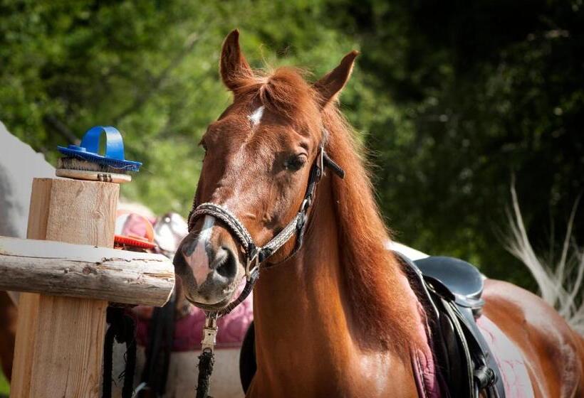 בית מלון כפרי Herol   My Mountain Retreat