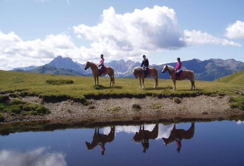 בית מלון כפרי Herol   My Mountain Retreat