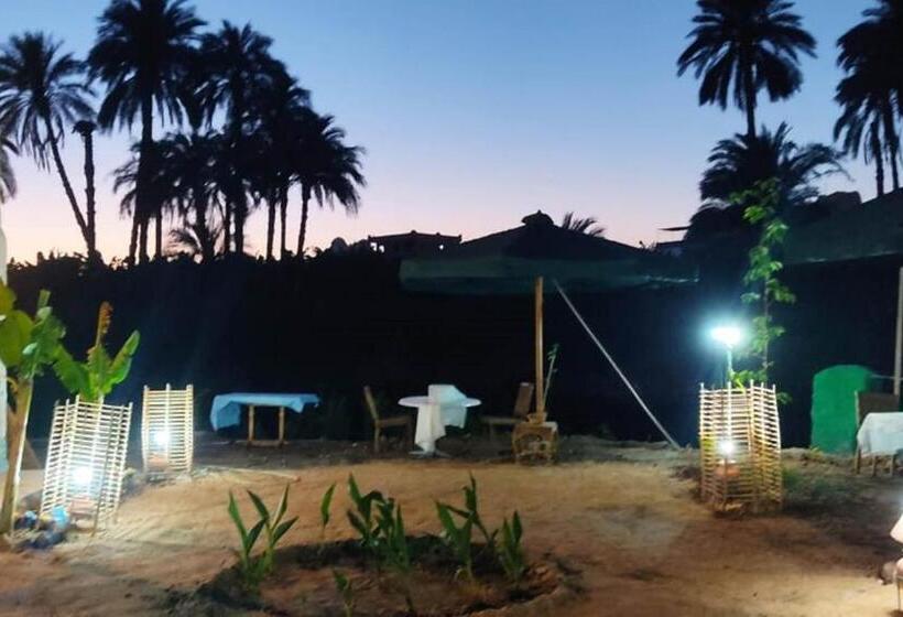 酒店 Luxor Old Nile