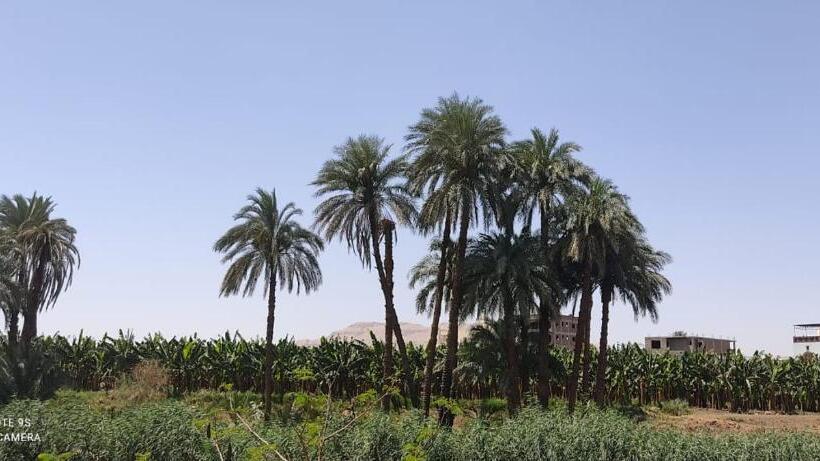 酒店 Luxor Old Nile