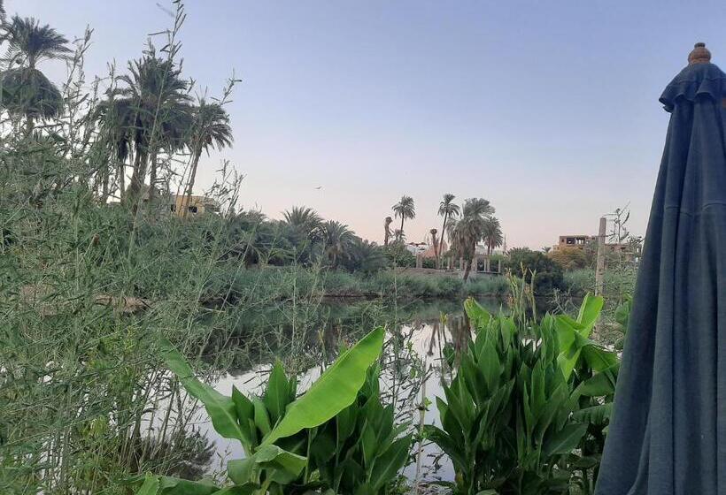 酒店 Luxor Old Nile