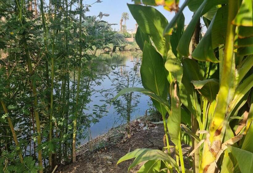 酒店 Luxor Old Nile