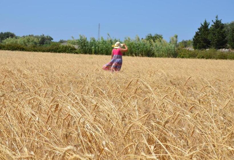 בית מלון כפרי Masseria Vignenove