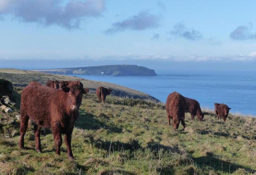 Lellizzick Bed And Breakfast