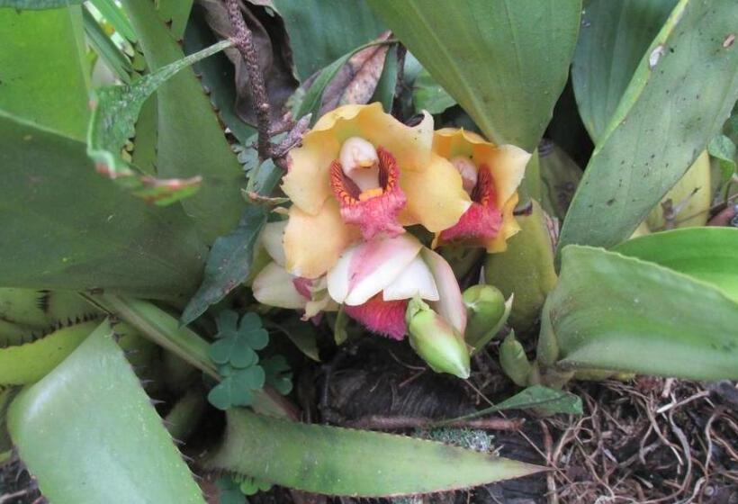 膳宿费 Chalé Dos Gnomos