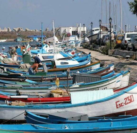 بنسيون Elena Guest House