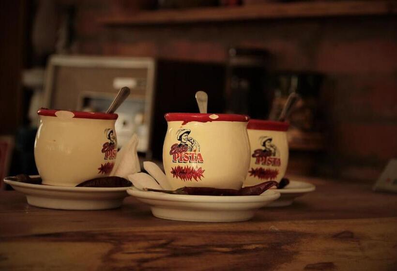 پانسیون Halász Airport Panzio