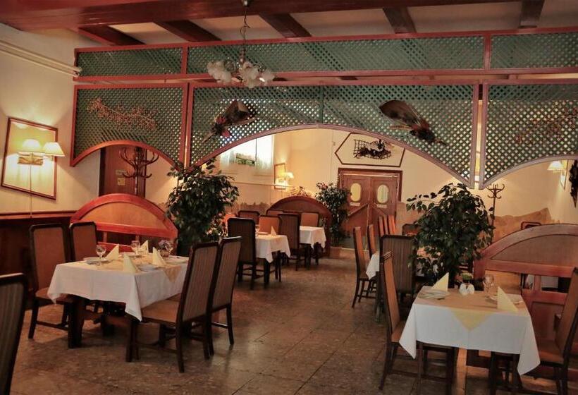 پانسیون Halász Airport Panzio