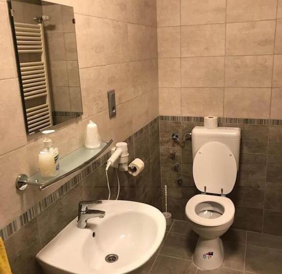 پانسیون Halász Airport Panzio