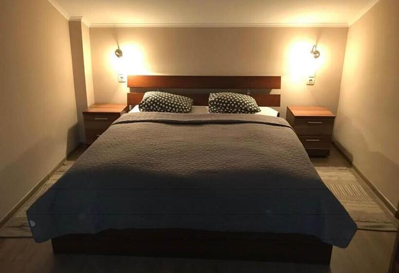 پانسیون Halász Airport Panzio