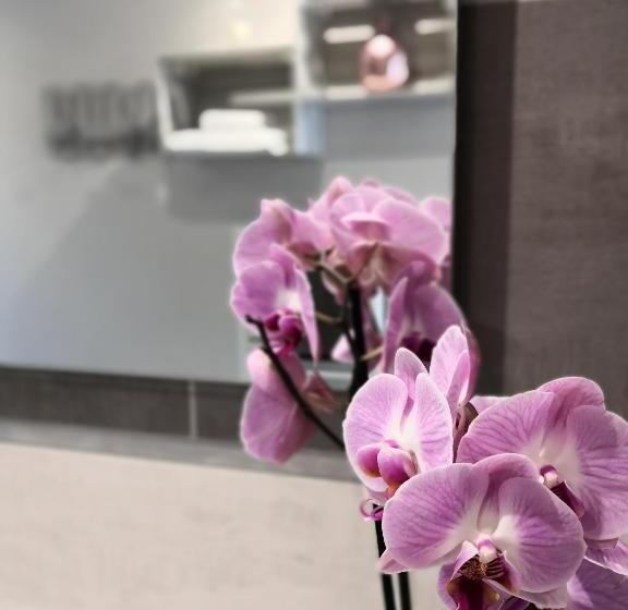 פנסיון La Chabertine