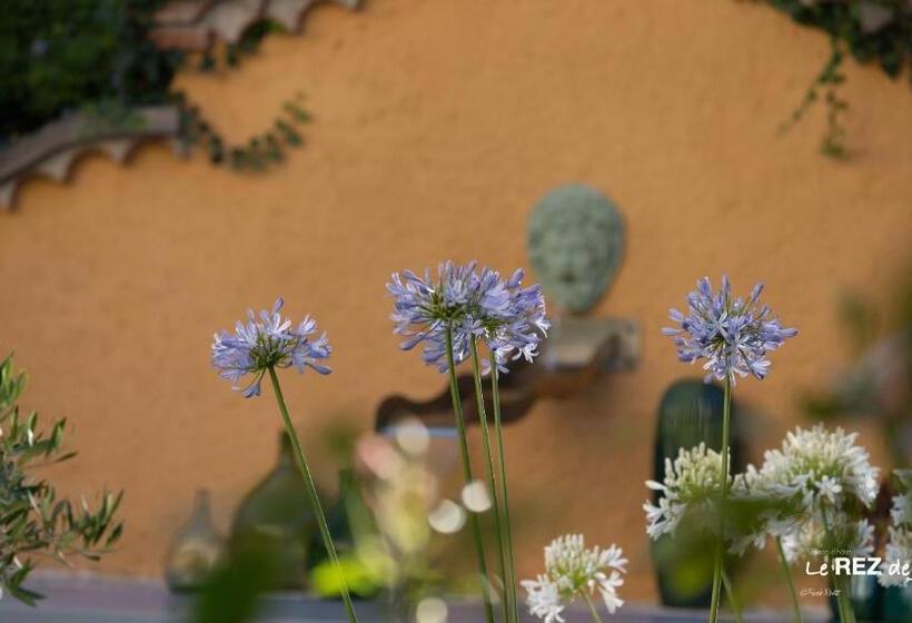 Пансион Le Rez De Jardin Albi