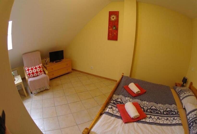 펜션 Penzion Hradební