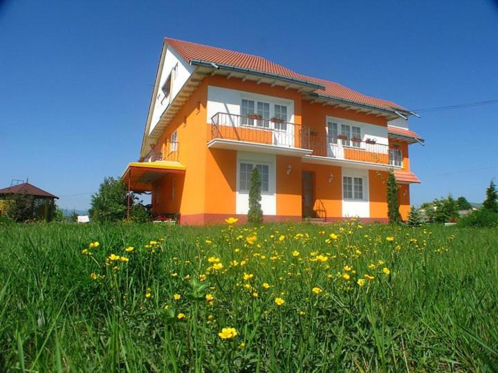 پانسیون Vila Vlad