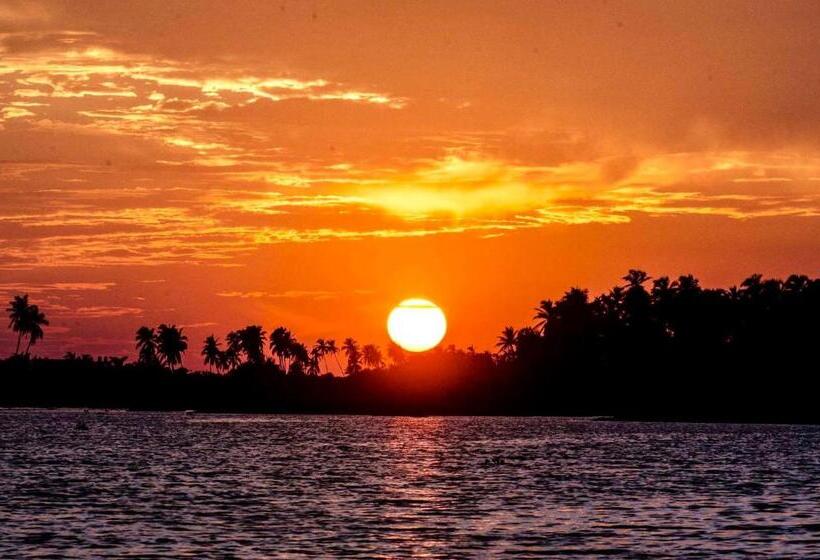 호텔 Boutique Punta Jamaica