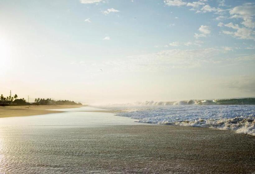 호텔 Boutique Punta Jamaica