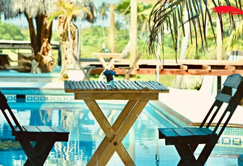 호텔 Boutique Punta Jamaica