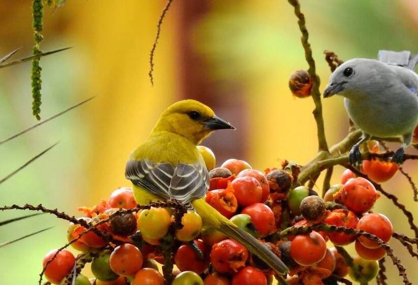 هتل Turismo Rural Palermo