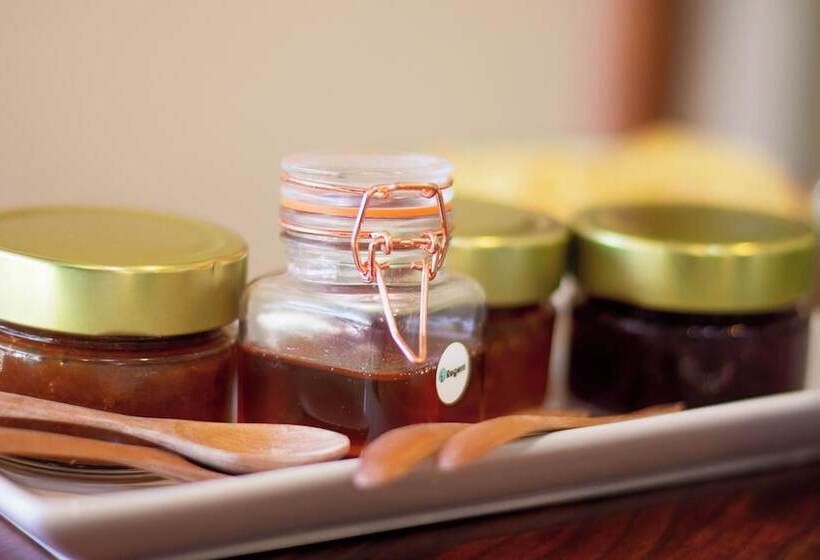 5 Seasons Guest House