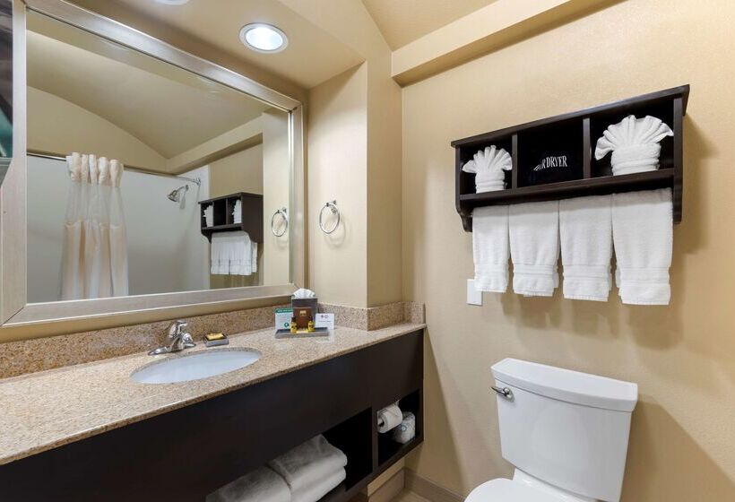 酒店 Best Western Plus Arlington North