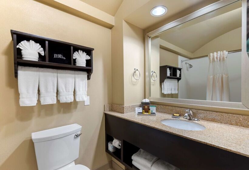 酒店 Best Western Plus Arlington North