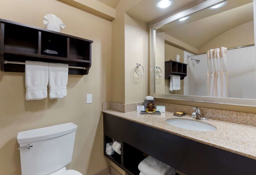 호텔 Best Western Plus Arlington North