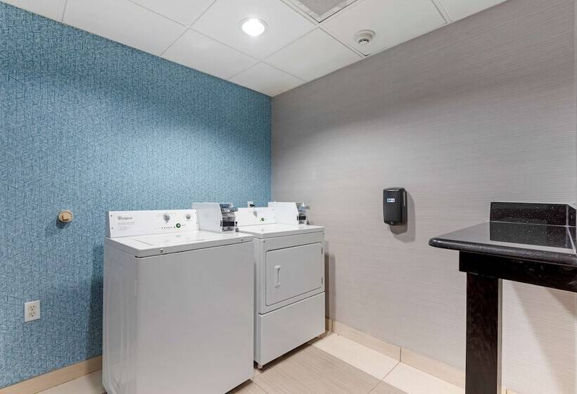 酒店 Best Western Plus Arlington North