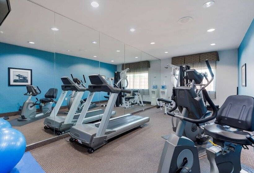 酒店 Best Western Plus Arlington North