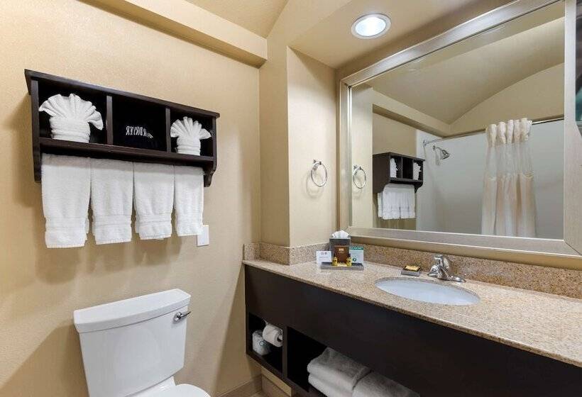 호텔 Best Western Plus Arlington North