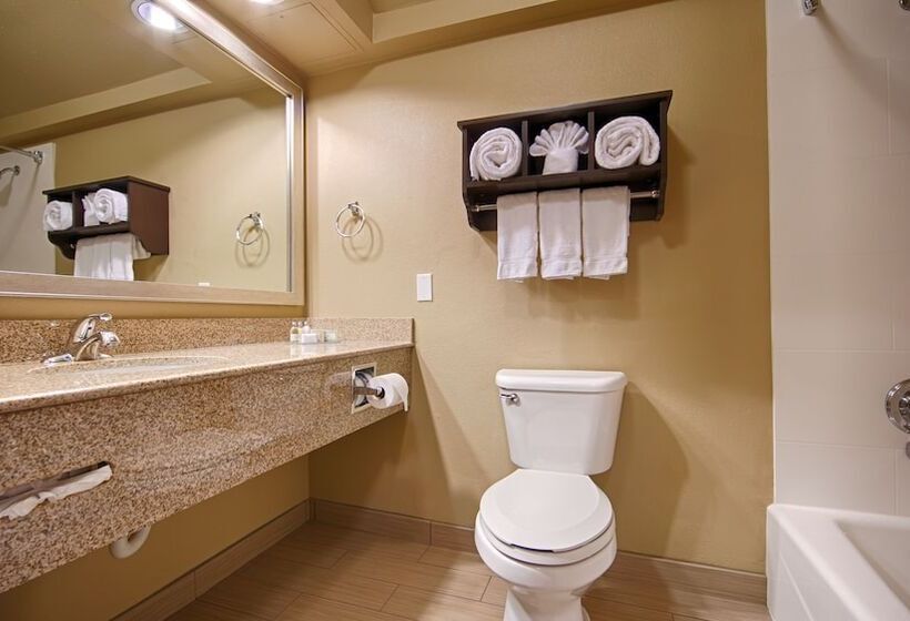 酒店 Best Western Plus Arlington North