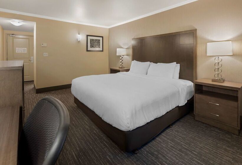 فندق Best Western Plus Chena River Lodge