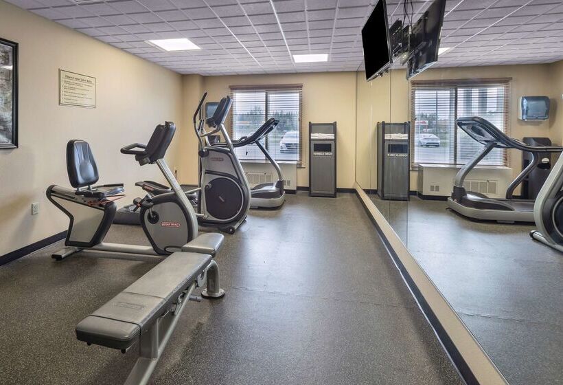 فندق Best Western Plus Chena River Lodge